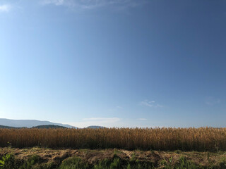 landscape with sky and clouds