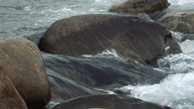 Water flowing at Joldhaka river, river stcok footage shot at Jhalong, a place of Dooars , north of West Bengal, India.