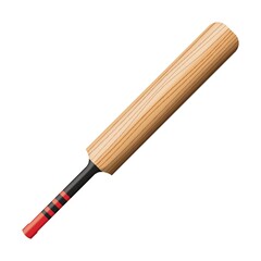 cricket bat