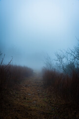 Fototapeta na wymiar foggy trail in mountains