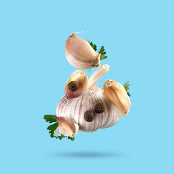 Concept of spicy food. Head of garlic with slices, allspice and parsley levitate in air on blue background.