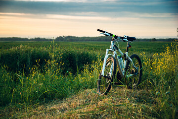 Fototapeta premium Mountain bike stands in the rural green field at summer evening. Cycling adventure and summer leisure time.