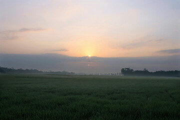 SUNRISE, SKY, CLOUD, 
morning sunshine, 
FIELD, LIGHT