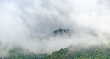 Fototapeta na wymiar The mist drifts over the trees at the mountains.rain season