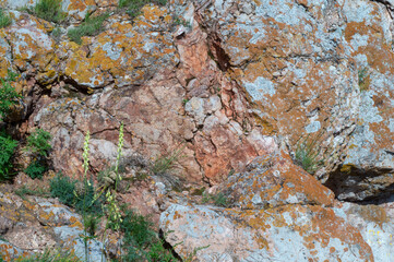 stone wall texture