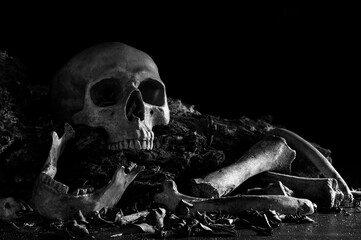 Skull and jaw with bone put on decay timber and the wooden table in old room which has dim light and dark background - obrazy, fototapety, plakaty