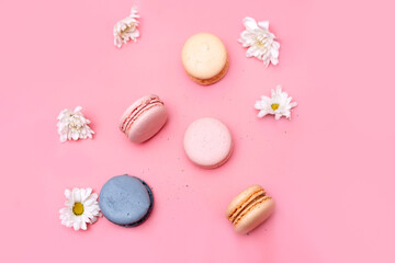 sweet round macaroons with chamomile flowers on a pink background, top view