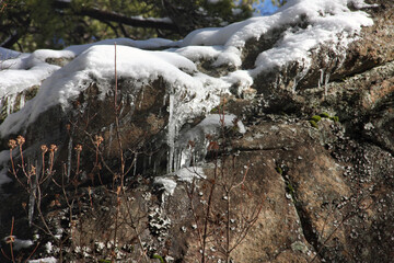 Rock Icicle
