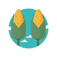 corn