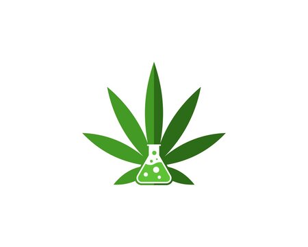 Laboratory research with cannabis leaf