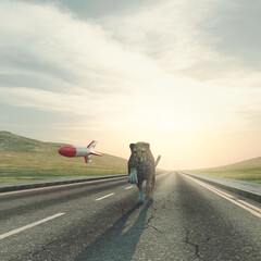 Rocket race business © allvision