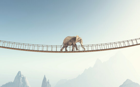 Elephant walk bridge