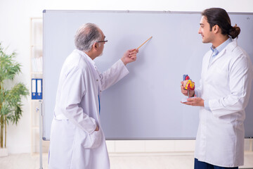 Fototapeta premium Experienced doctor cardiologist teaching young male assistant