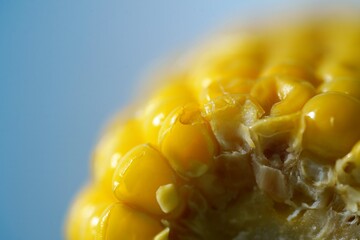 close up of corn