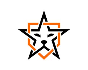 Abstract shield and star with lion head