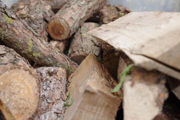 Fototapeta premium Stacks of firewood at the home. Firewood background. Pile of firewood.