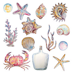 watercolor set marine underwater life