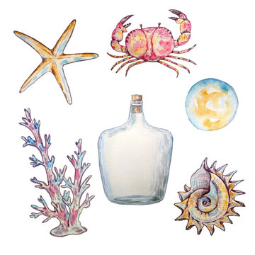 watercolor set marine underwater life