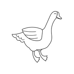 Cute contour doodle goose. Goose liver, foie gras. Farm animals and birds.Illustration for childrens coloring book. Vector isolated on white background