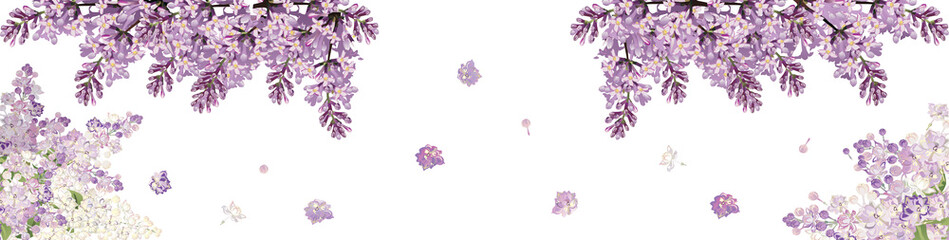 long frame from lilac flowers isolated on white background
