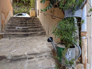 Bormes les mimosas plus beau village de france sur la côte d'azur, ville fleurie maison en pierre...