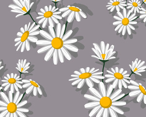 daisies on gray background