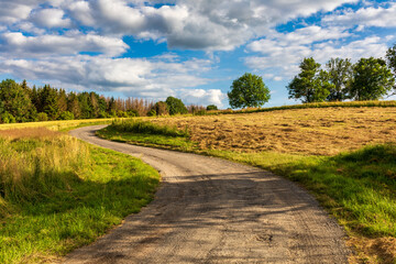 Asphalt road in the countryside. Yellow wheat field in july. Agricultural concept, landscape in highland, Vysocina Czech Republic
