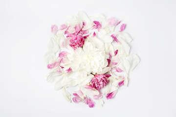 Obraz na płótnie Canvas White and pink peony flowers and petals scattered on white background, top view