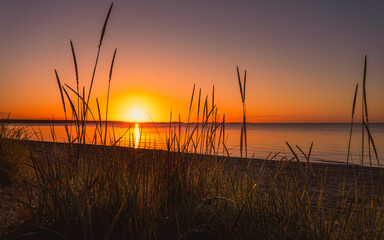 Sunset behind grass on the beach
