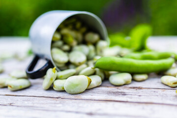 Freshly shelled broad beans in a mug.