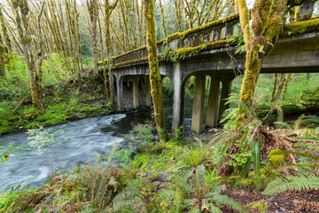 Fototapeta na wymiar Beaver Creek flows under a closed bridge near Sappho, Washington, USA