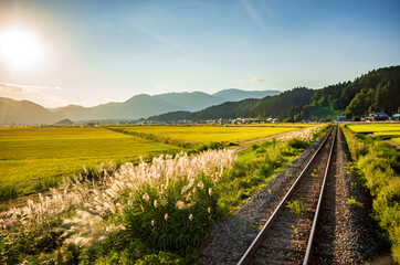 【田園風景】車窓から見る稲穂