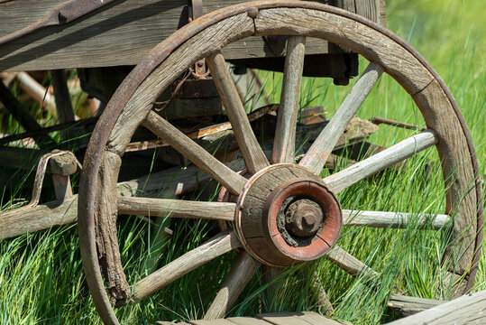 Antique wagon wheel in tall grass