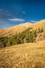 Mountain slopes covered with mixed forest, sunny weather, clouds in the sky covering the sun, shot at wide angle. In the distance the mountains are covered with dry yellow grass.