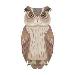 Owl bird cartoon vector illustration of icon. .Vector icon of animal owl. Isolated cartoon illustration of bird animal on white background.