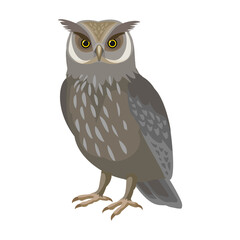 Owl bird cartoon vector illustration of icon. .Vector icon of animal owl. Isolated cartoon illustration of bird animal on white background.