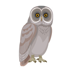 Owl bird cartoon vector illustration of icon. .Vector icon of animal owl. Isolated cartoon illustration of bird animal on white background.
