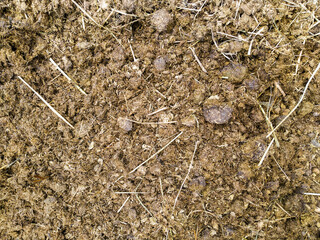 Horse manure with hay and sawdust