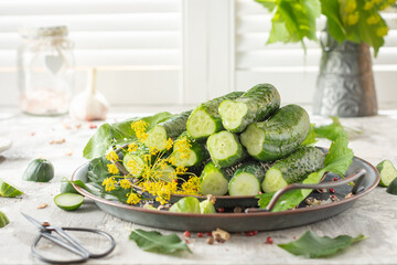 Cucumbers for pickling. Fresh cucumbers ready for canning with dill, garlic and spices. Selective focus
