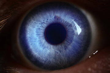 Close up of bright grey eye looking forward with pupilary construction while human is in darkness