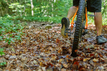 detail of a bicycle wheel lifting leaves