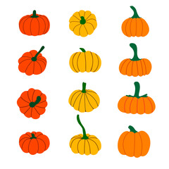 Set of pumpkins. Collection of orange, red, yellow pumpkins. Elements for Halloween and thanksgiving design.Autumn vegetables. Vector flat illustration