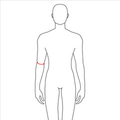 Men to do elbow measurement fashion Illustration for size chart. 7.5 head size boy for site or online shop. Human body infographic template for clothes. 