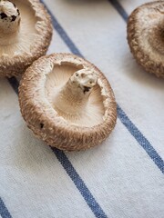 신선한 유기농 채소 표고버섯 
