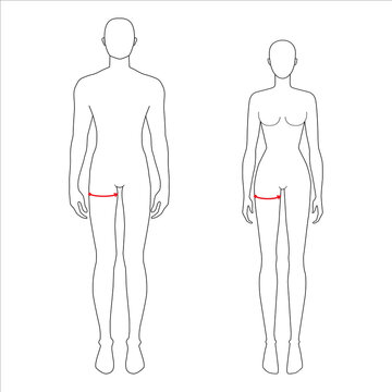 Women and men to do max thigh measurement fashion Illustration for size chart. 7.5 head size girl and boy for site or online shop. Human body infographic template for clothes. 