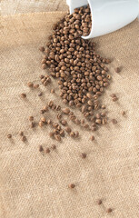 coffee beans lay on a sackcloth