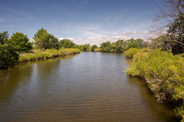 Views of the Ornithological Reserve of Teich, next to the Arcachon Bay, in the Gironde Department, France