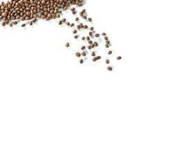 coffee beans lay on white background.