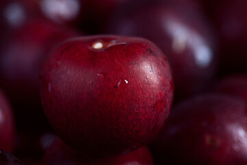 big fresh ripe black cherry super macro photo with blurred background