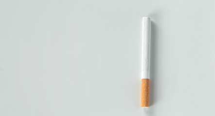 one cigarette isolated on white background.